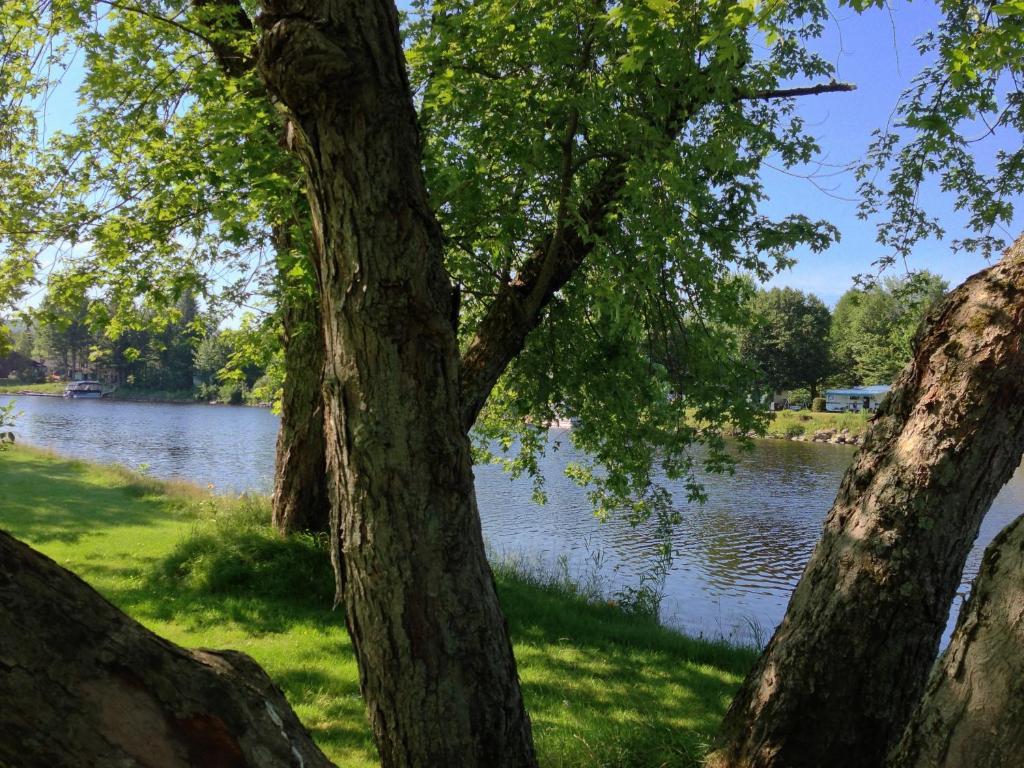 Le Reflet de la Rivière B&B Weedon-Centre Extérieur photo
